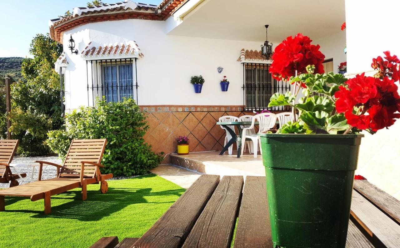 Los Naranjos Alcaucín Buitenkant foto