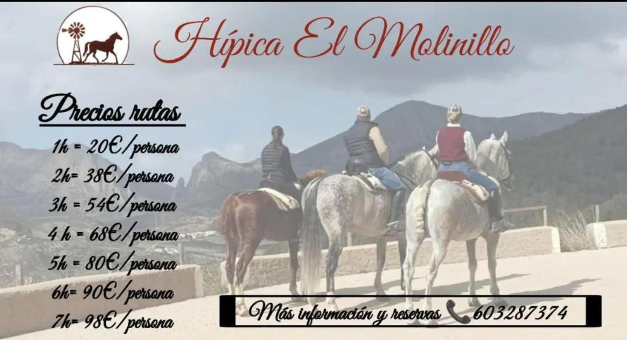 Los Naranjos Alcaucín Buitenkant foto
